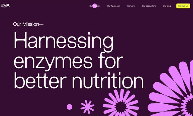 zya.co